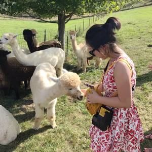 Meet your Posher, Zhe